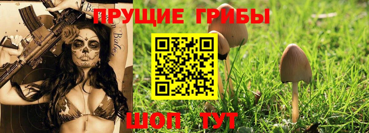 Моздок  Галлюциногенные грибы мицелий  Вход с VPN 