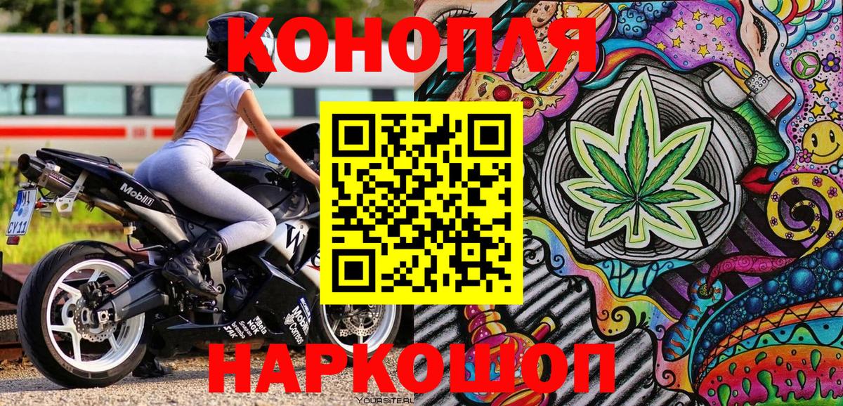 Каннабис сатива Моздок